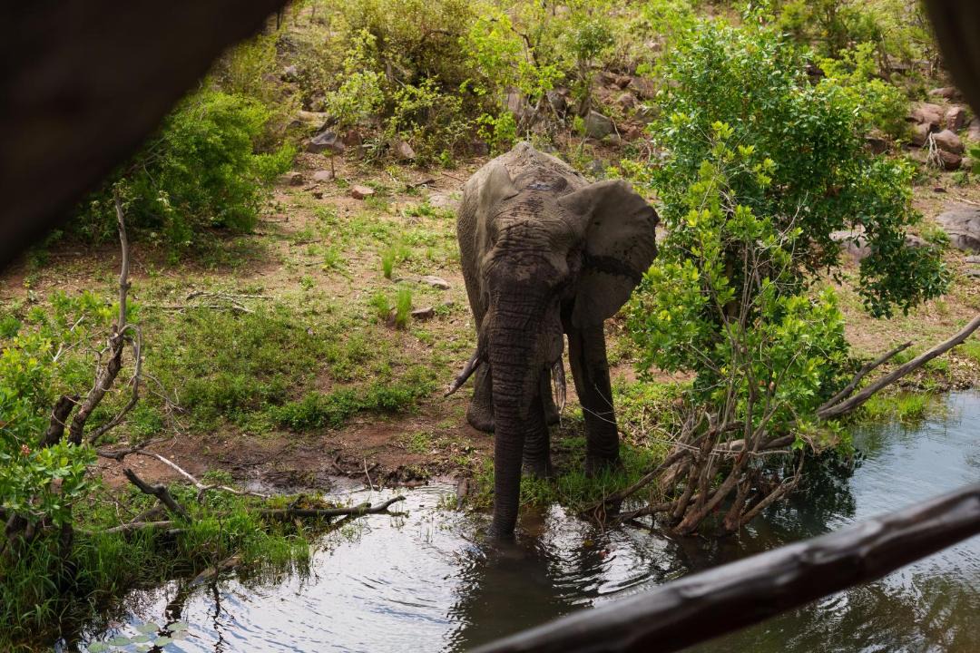 Photo of Others in Vaalwater