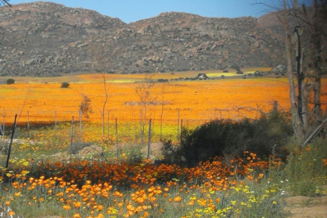 Photo of Others in Kamiesberg