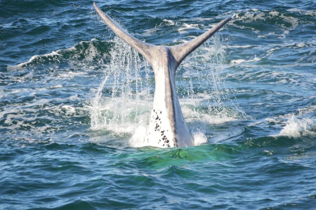 Photo of Others in Fisherhaven