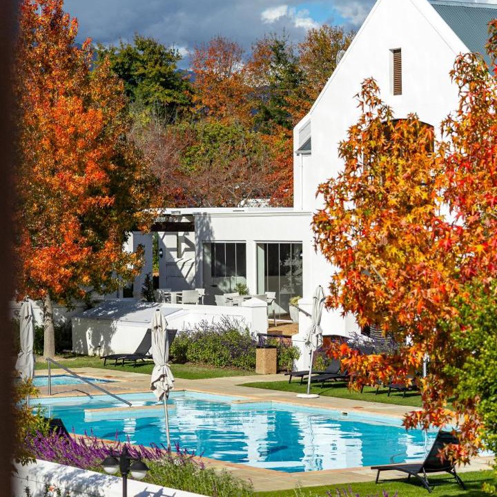Photo of Others in Stellenbosch
