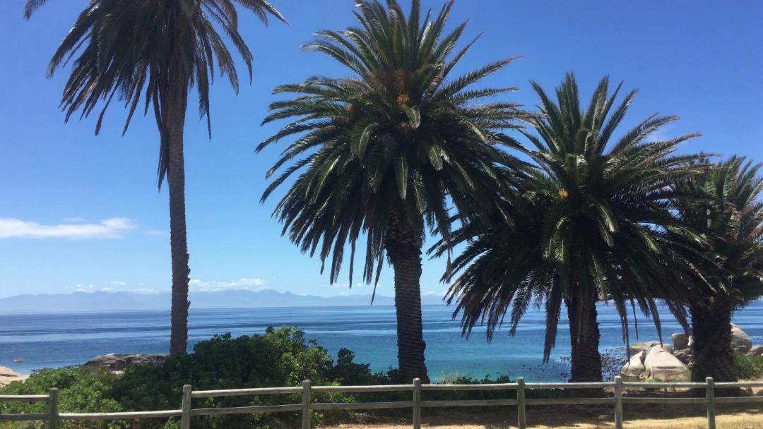 Photo of Others in Simon's Town