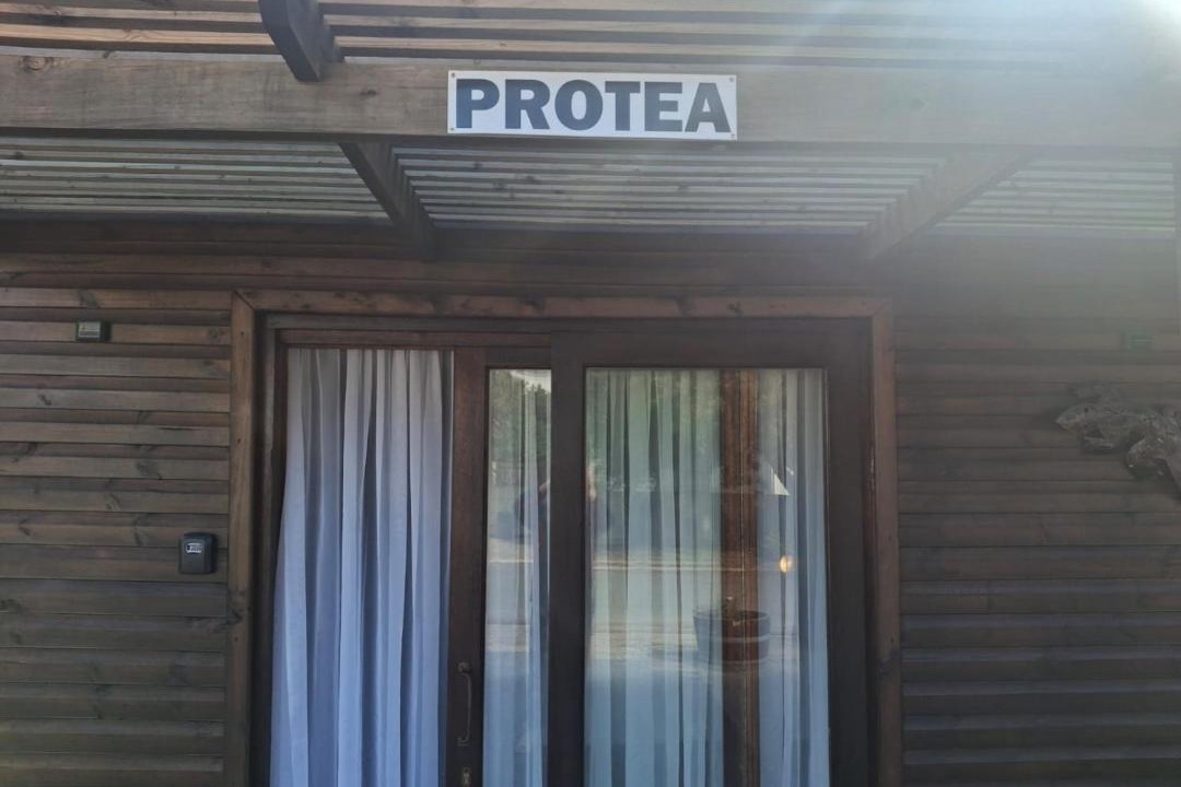 Photo of Others in Britannia Bay