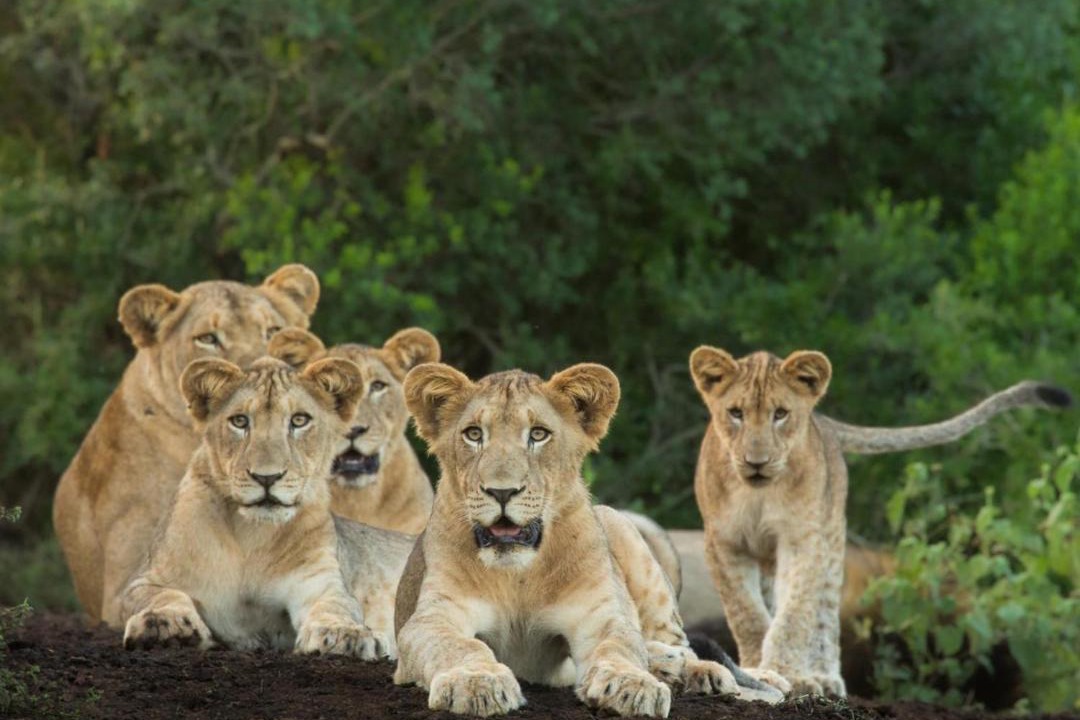 Photo of Others in Jozini