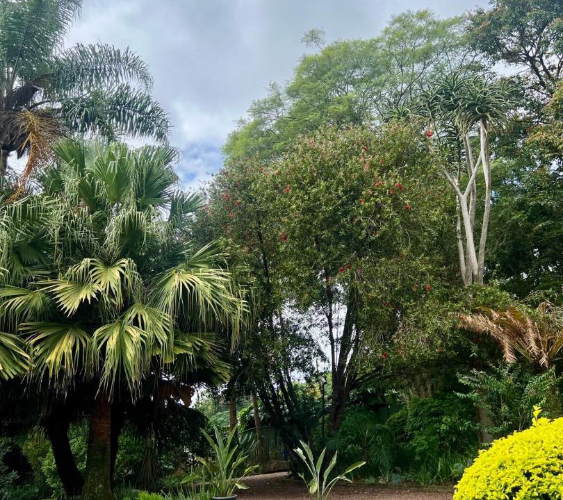 Photo of Others in Kloof