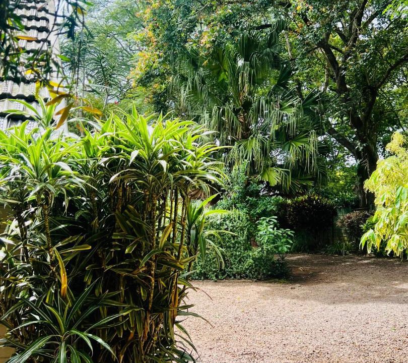 Photo of Others in Kloof