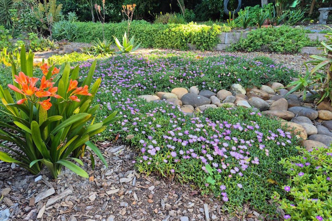 Photo of Outdoor in Durbanville