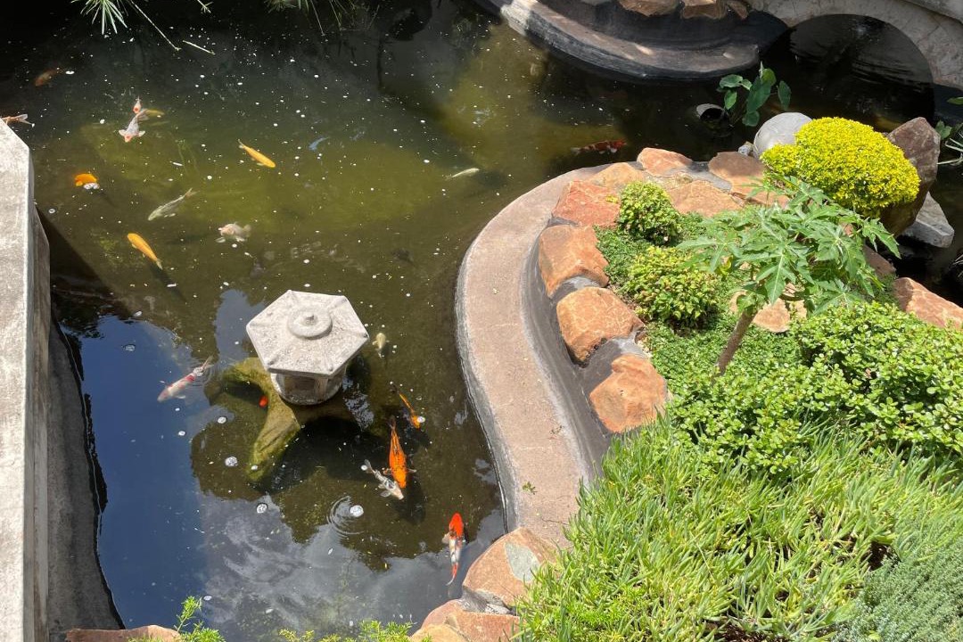 Photo of Others in Northcliff