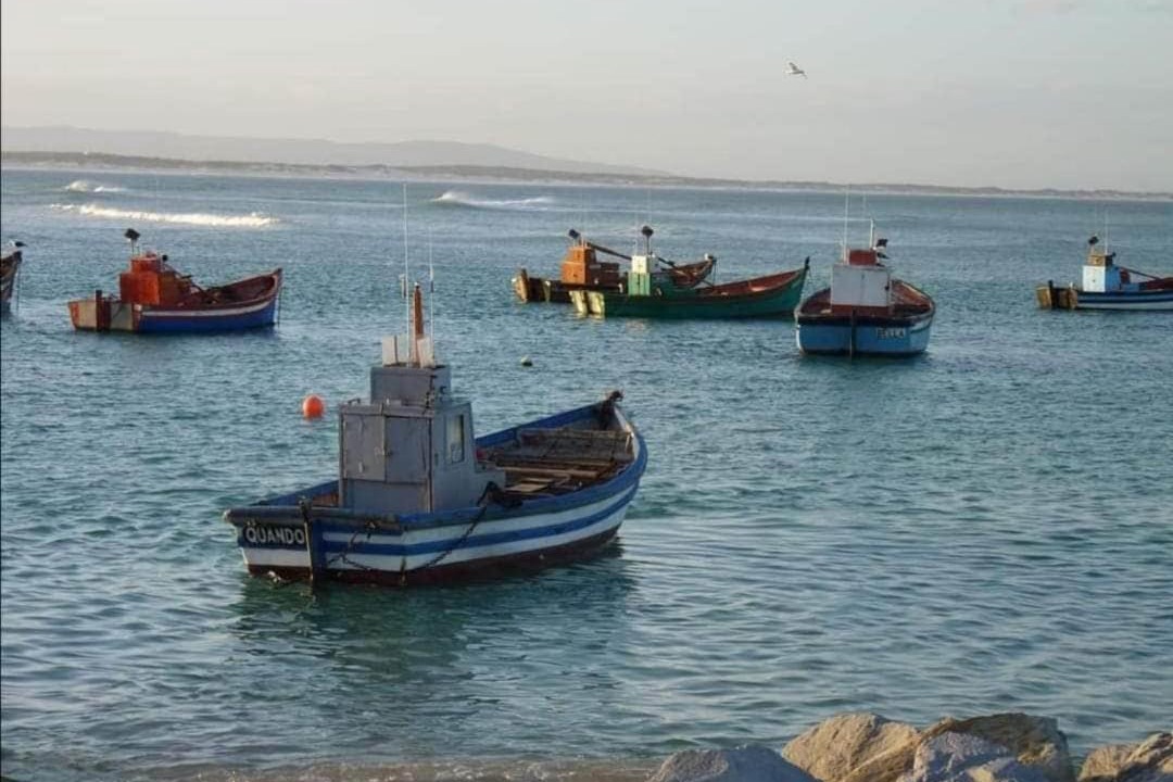Photo of Others in Struisbaai