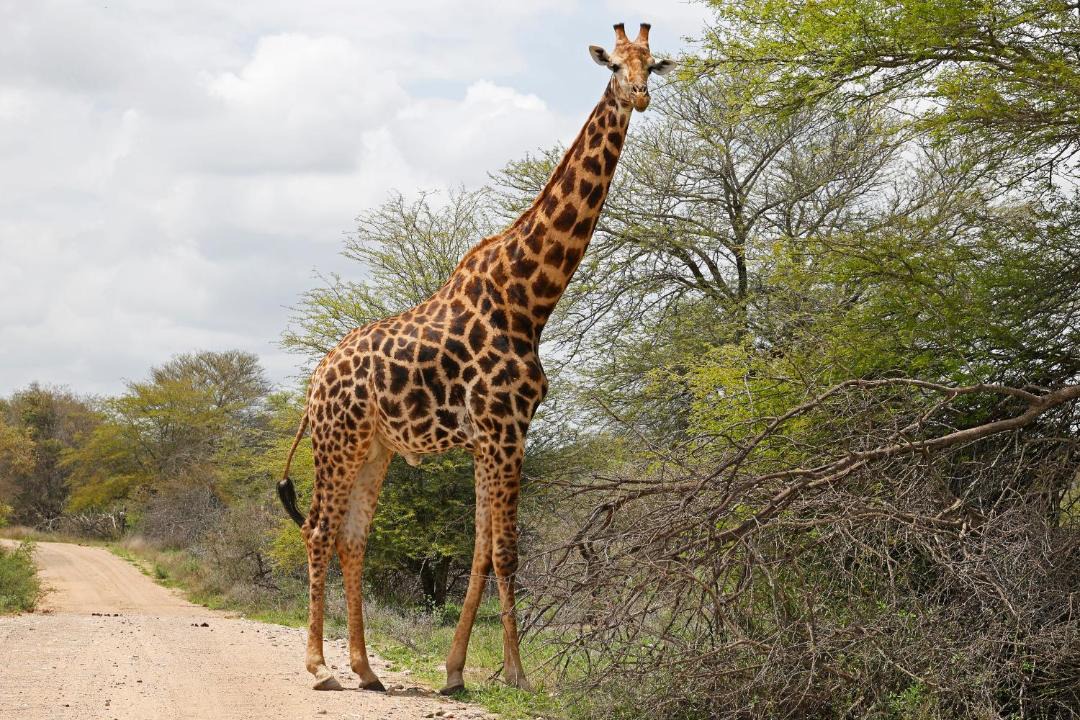 Photo of Others in Ligfontein