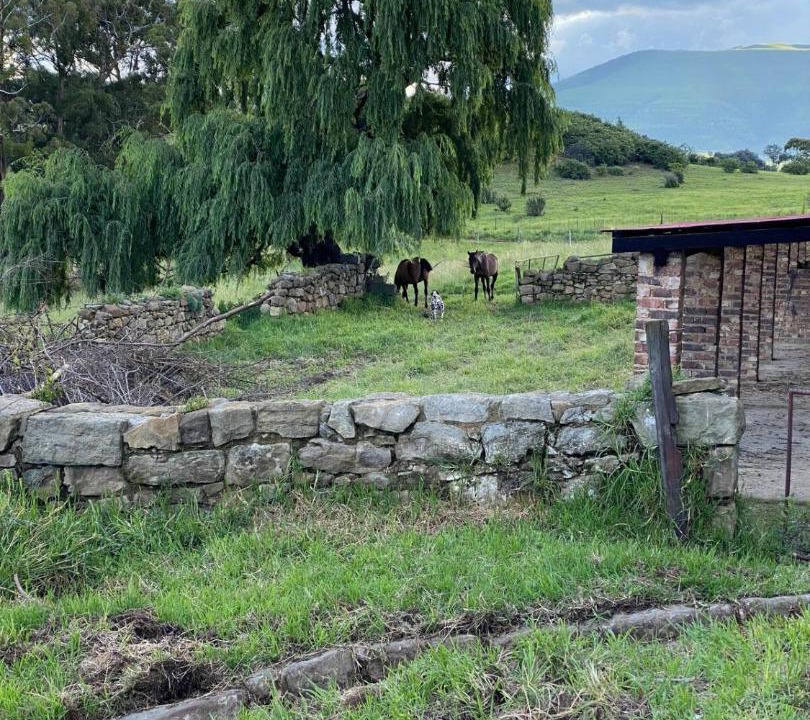 Photo of Others in Wakkerstroom