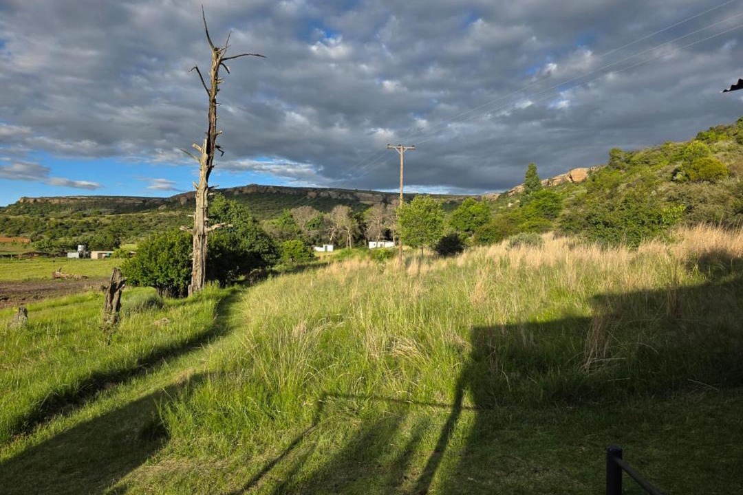 Photo of Others in Ficksburg