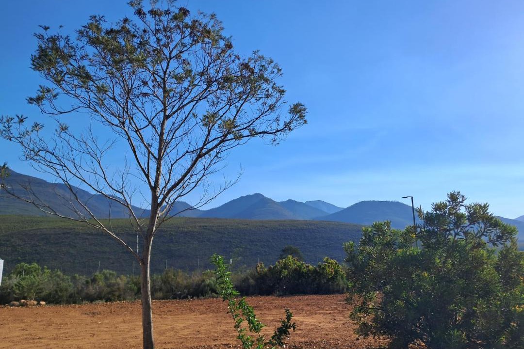 Photo of Others in Baviaanskloof Nature Reserve