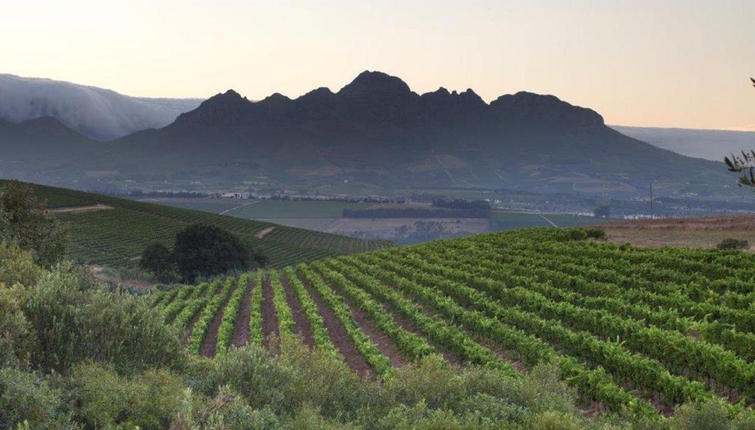 Photo of Others in Stellenbosch