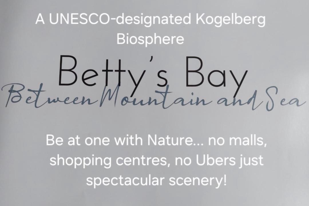 Photo of Others in Betty's Bay