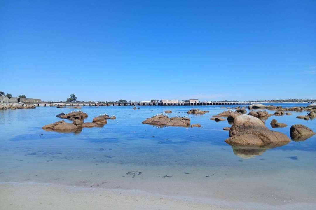 Photo of Others in Stompneusbaai