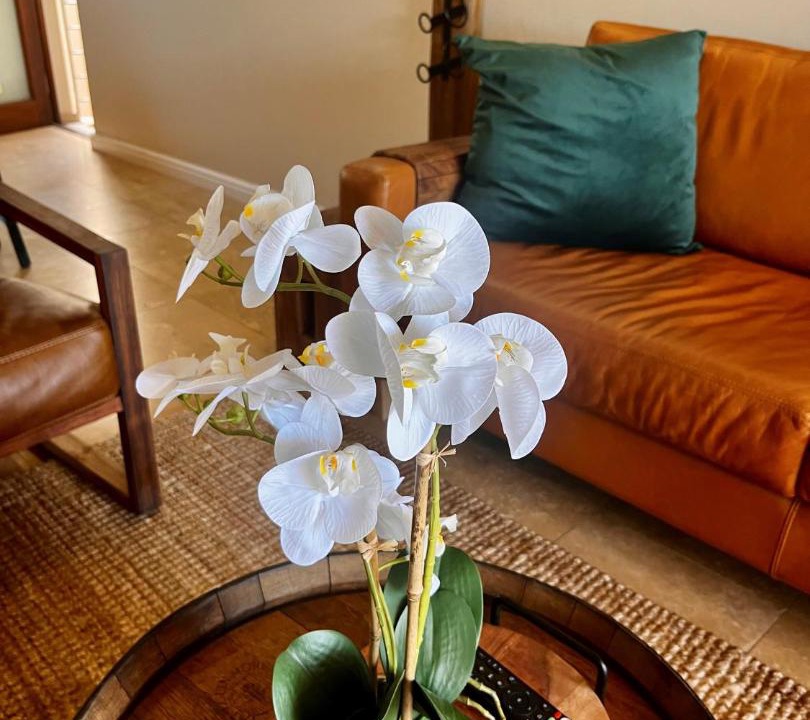 Photo of Livingroom in Langebaan