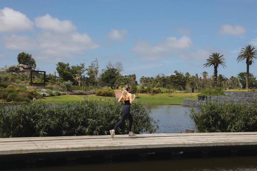 Photo of Others in Century City