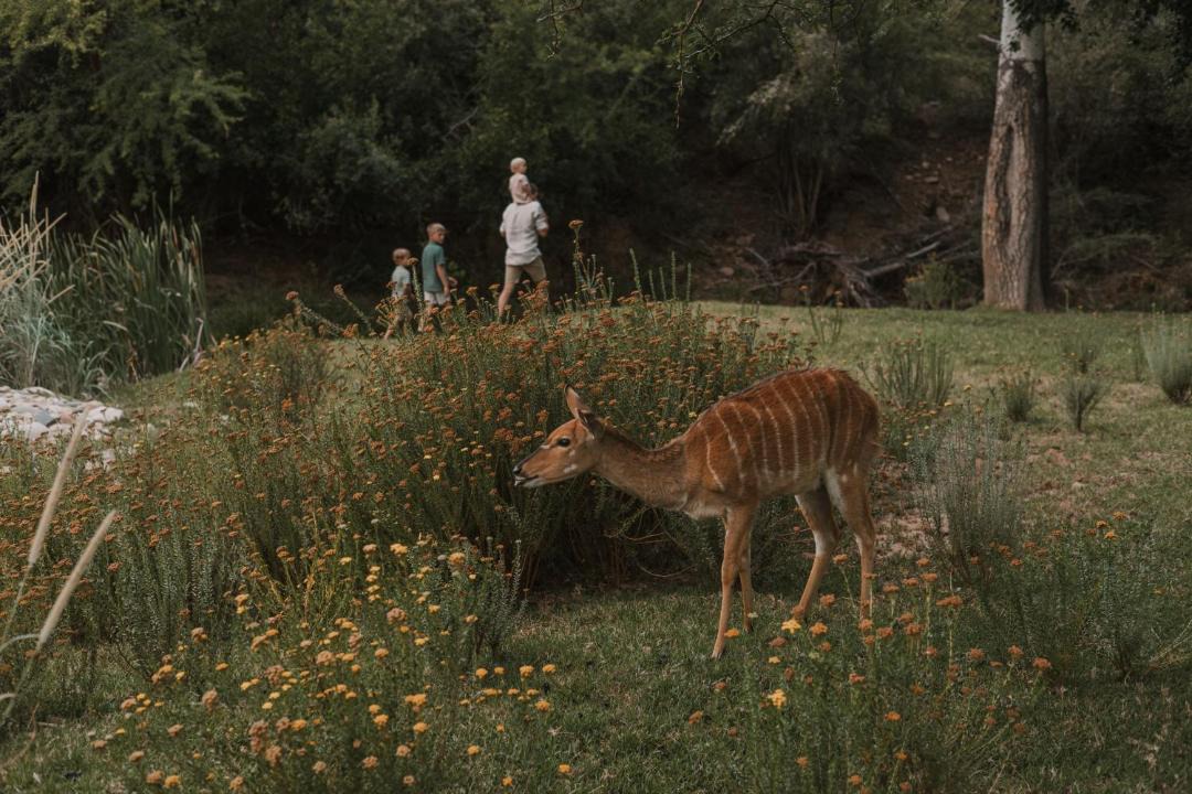 Photo of Others in Oudtshoorn