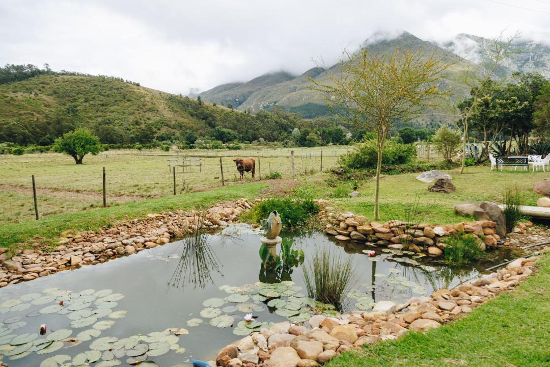 Photo of Others in Swellendam