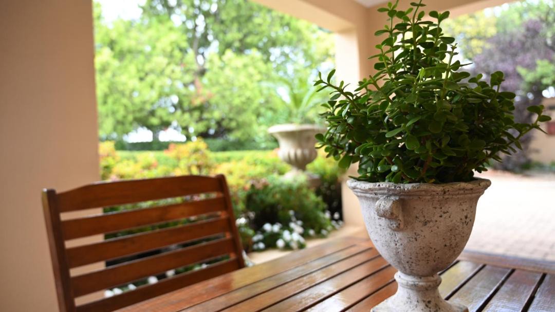 Photo of Patio Balcony in Middelburg