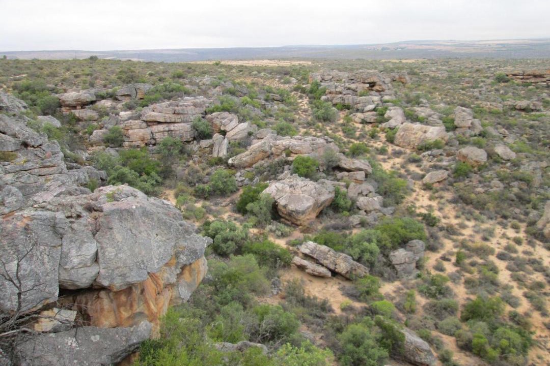 Photo of Others in Cederberg