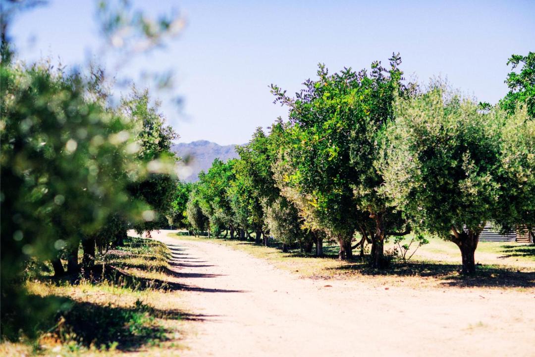 Photo of Others in Helderberg Rural