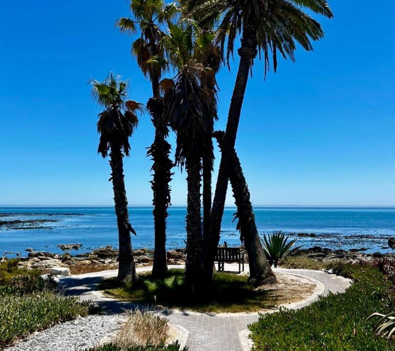 Photo of Others in Shelley Point