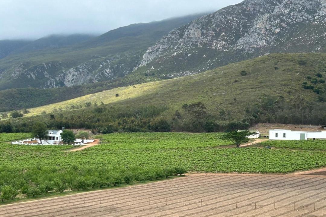 Photo of Others in Langeberg