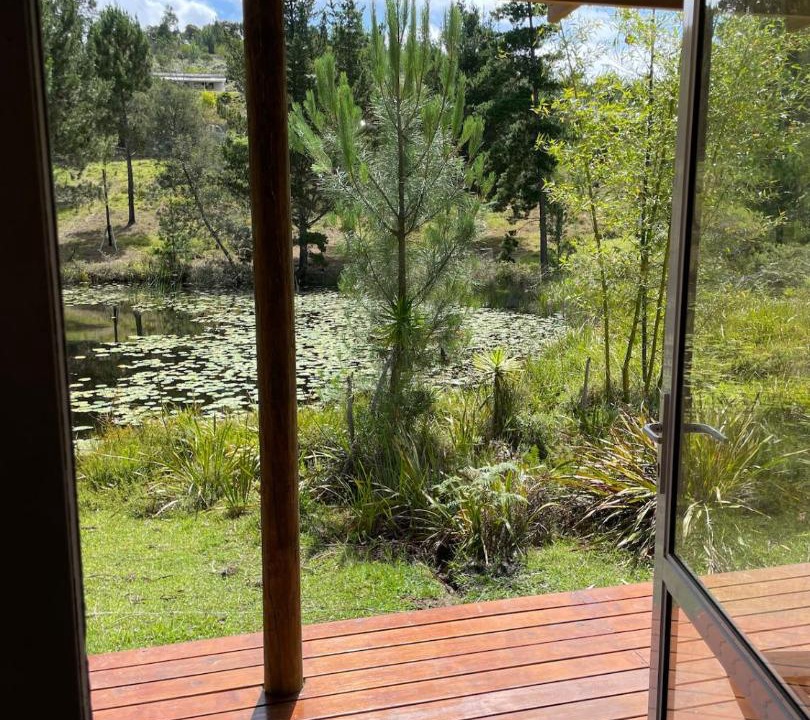 Photo of Others in Knysna