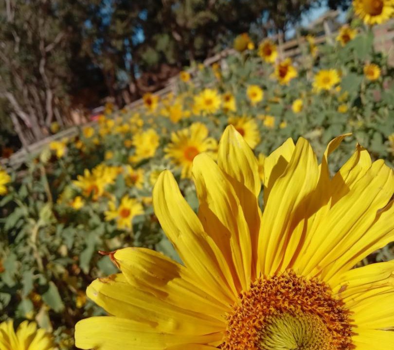 Photo of Others in Helderberg Rural