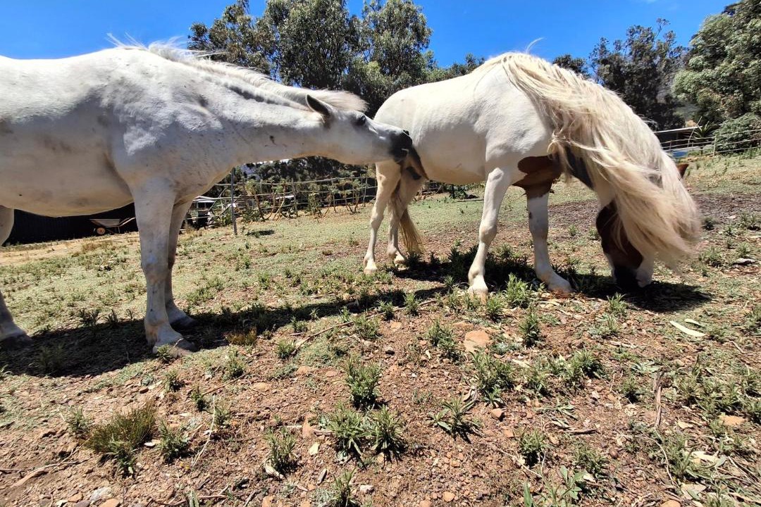 Photo of Others in Helderberg Rural
