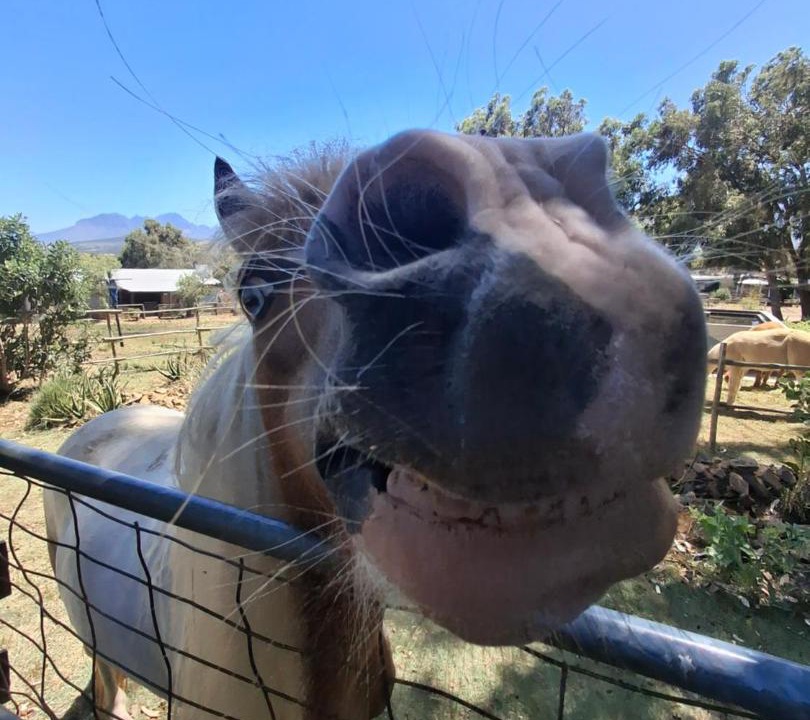 Photo of Others in Helderberg Rural