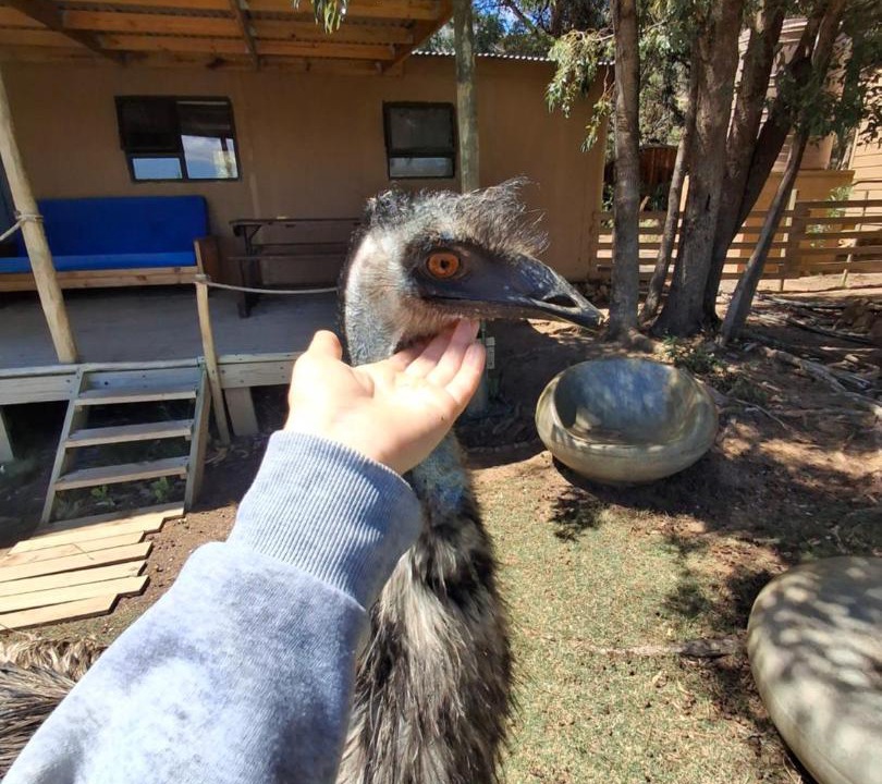 Photo of Others in Helderberg Rural