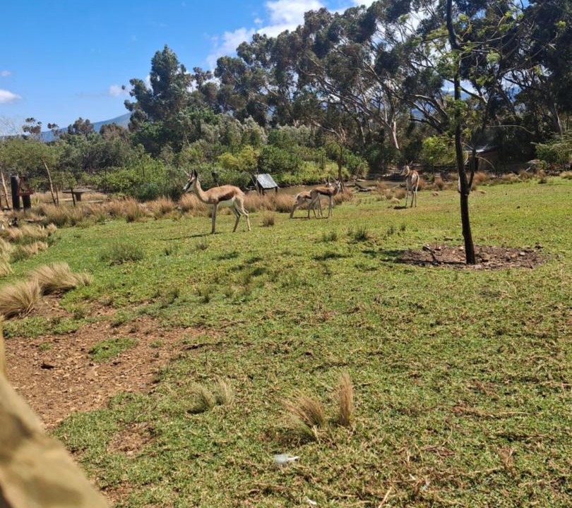 Photo of Others in Helderberg Rural