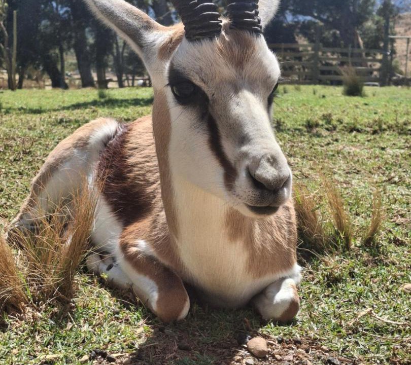 Photo of Others in Helderberg Rural