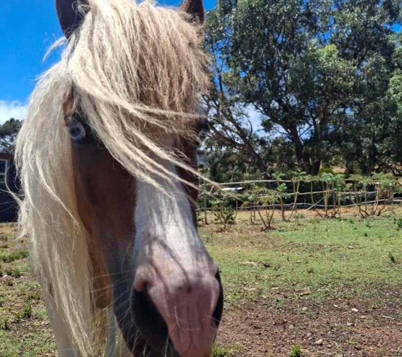 Photo of Others in Helderberg Rural