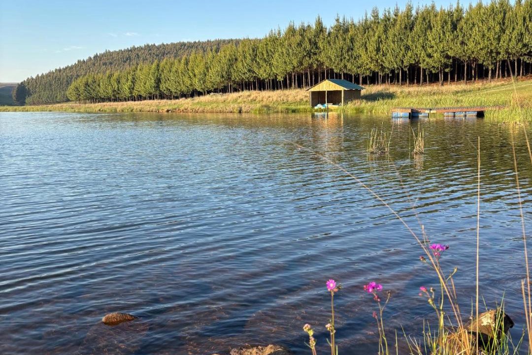 Photo of Others in Karkloof Nature Reserve