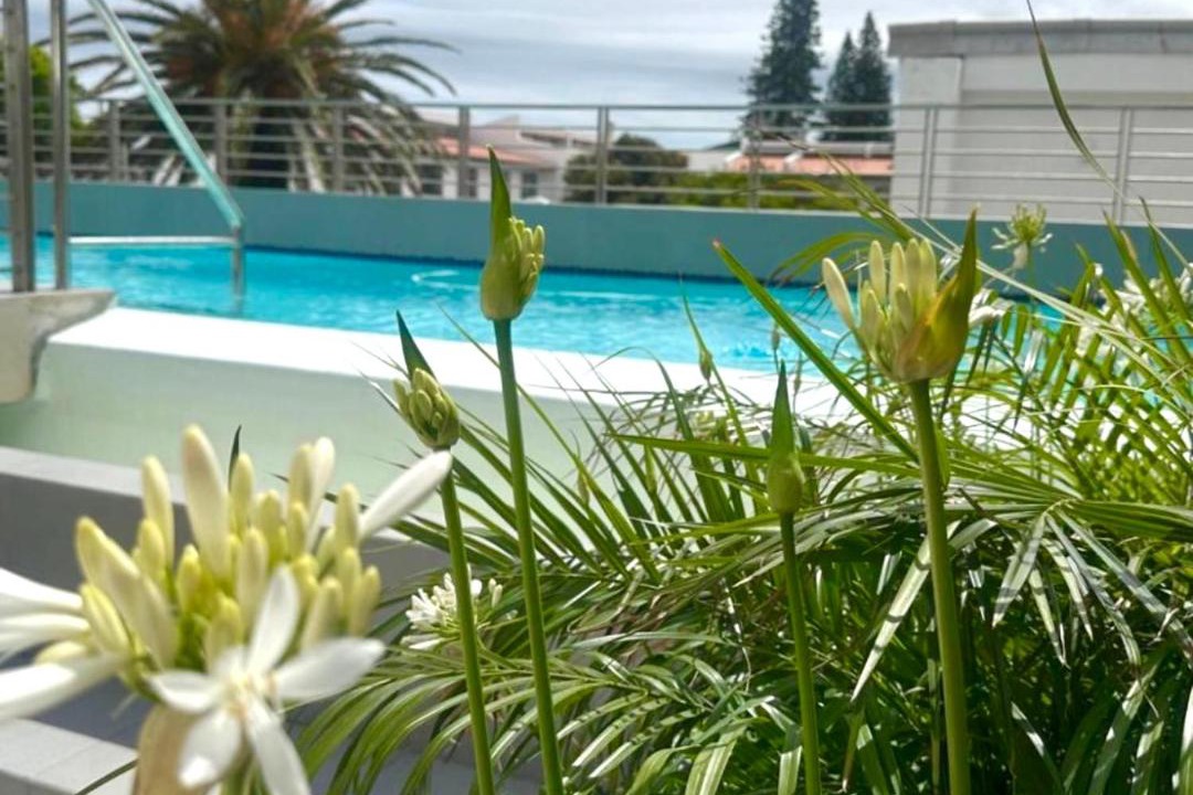 Photo of Others in Hermanus City-Centre