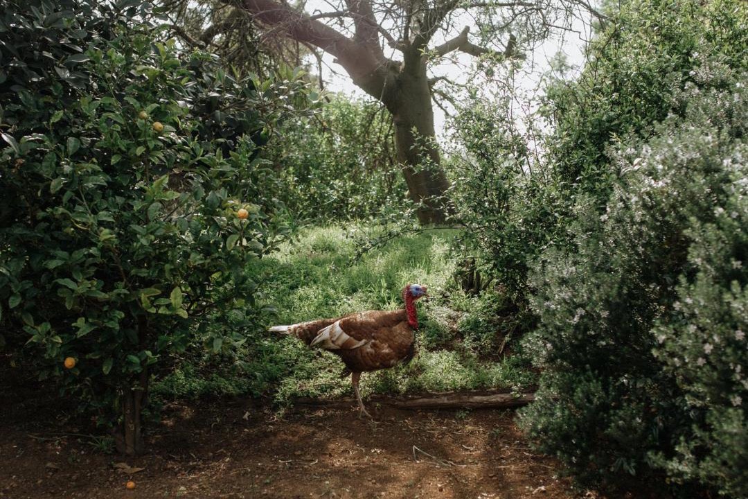 Photo of Others in Helderberg Rural