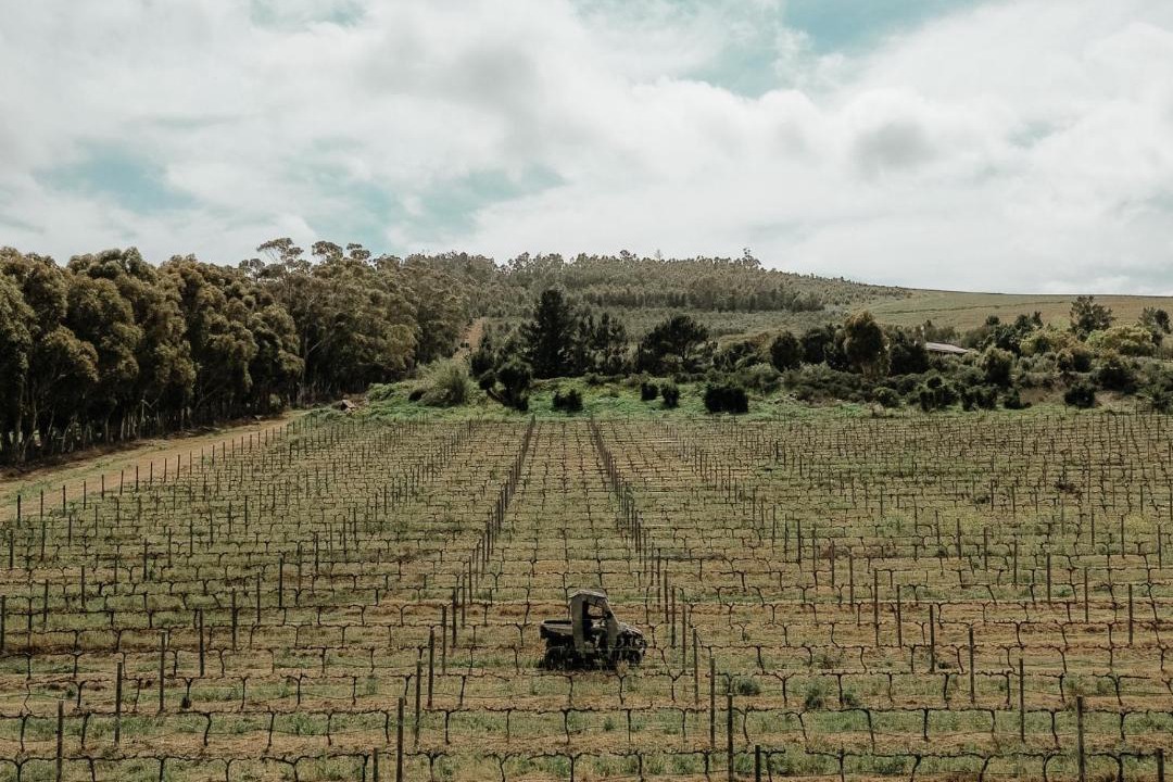 Photo of Others in Helderberg Rural