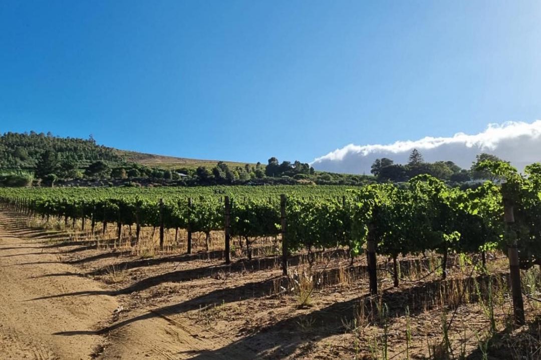 Photo of Others in Helderberg Rural