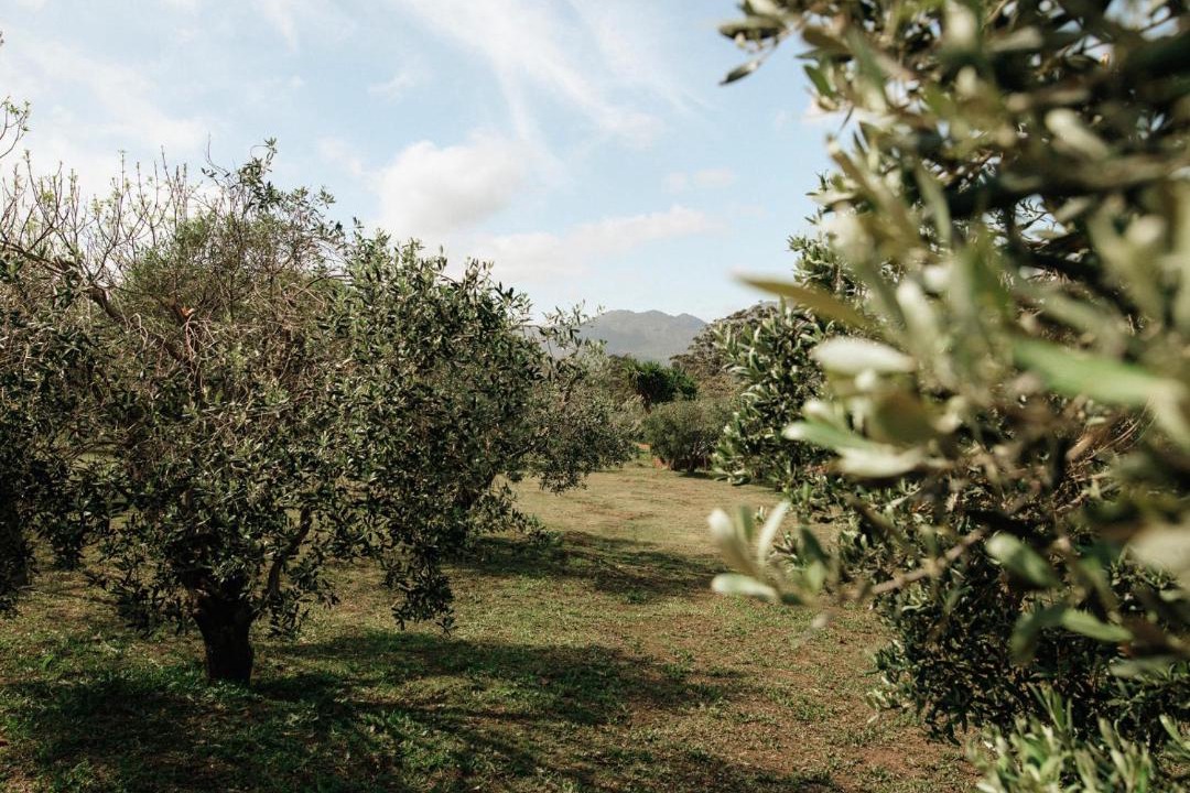 Photo of Others in Helderberg Rural