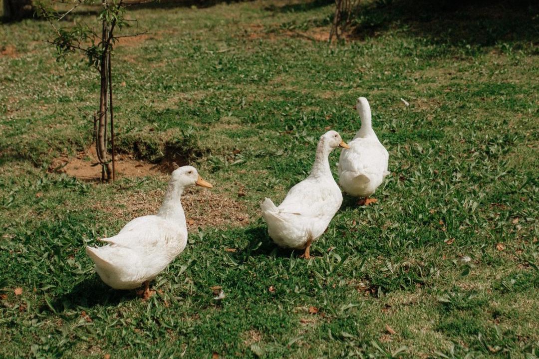 Photo of Others in Helderberg Rural