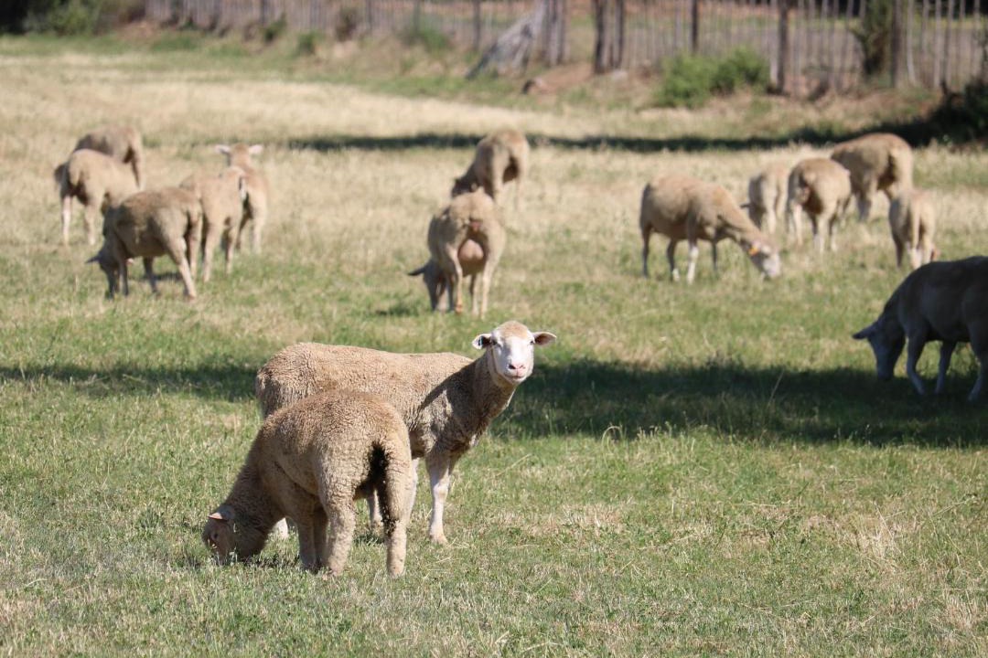 Photo of Others in De Hoop