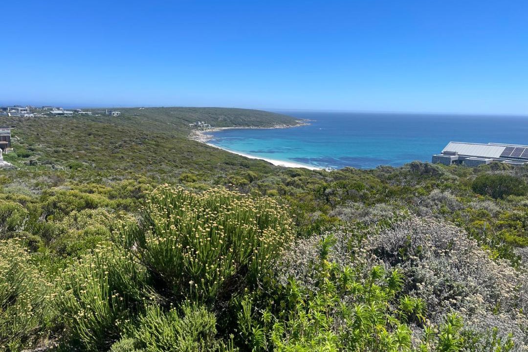 Photo of Others in Gansbaai