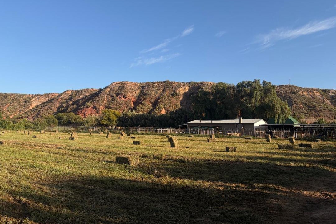 Photo of Others in Calitzdorp