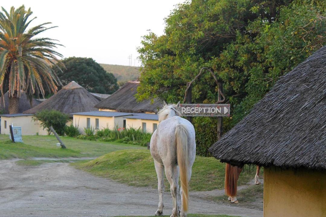 Photo of Others in Nqileni Village