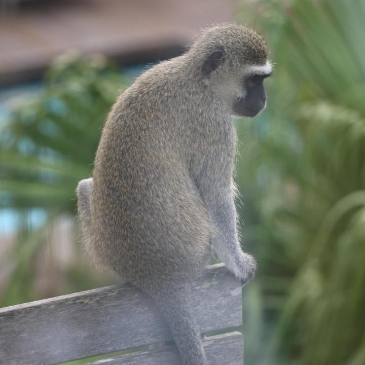 Photo of Others in Umhlanga