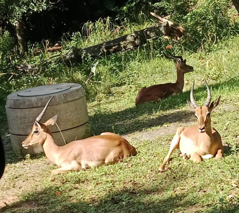 Photo of Outdoor in Umzumbe