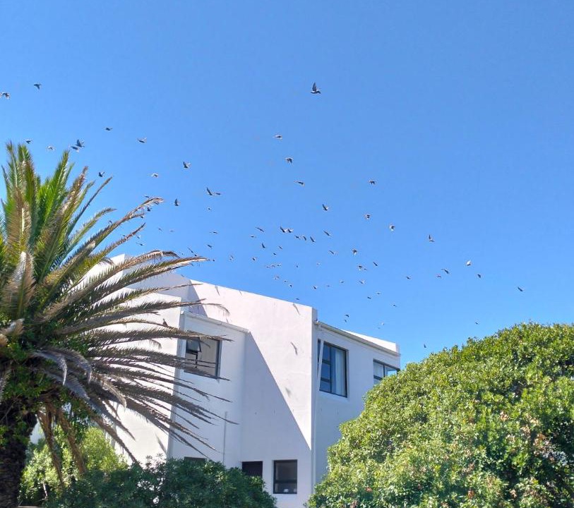 Photo of Others in Sandbaai